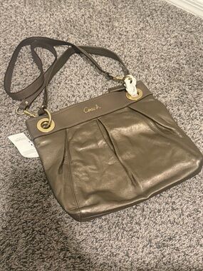 NWT Coach Ashley Leather Hippie Crossbody Bag Metallic Vintage